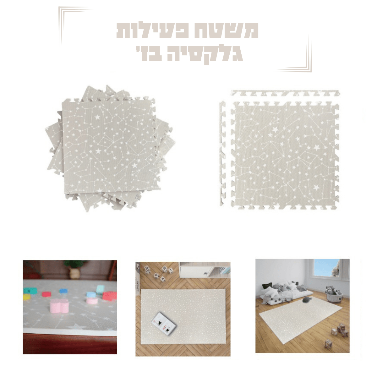 משטח פעילות גלקסיה משטח פעילות גלקסיה